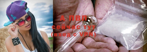 эйфоретик Белокуриха
