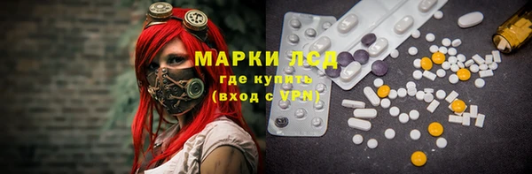 эйфоретик Белокуриха