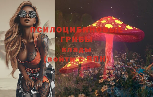 эйфоретик Белокуриха